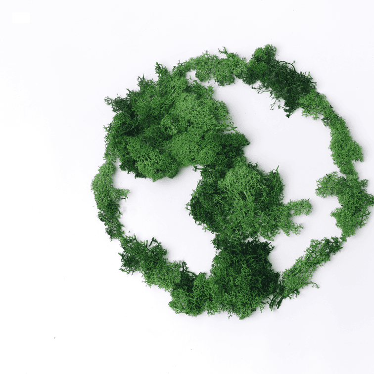 wereldbol van mos symbool voor dag van biodiversiteit